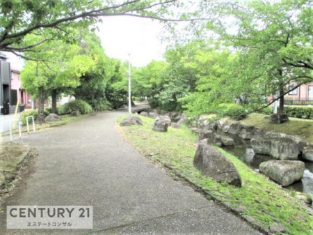 その他　徒歩至近の近隣の大型公園です。
小川があり、お散歩コースもある公園です。春にはきれいな桜並木が満開です。
