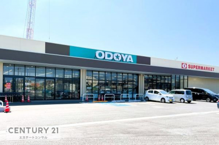 周辺環境　ODOYA江川店649m