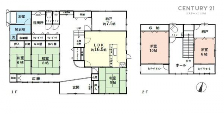 Ԏ}@̓V䍂ALXJIȎłB