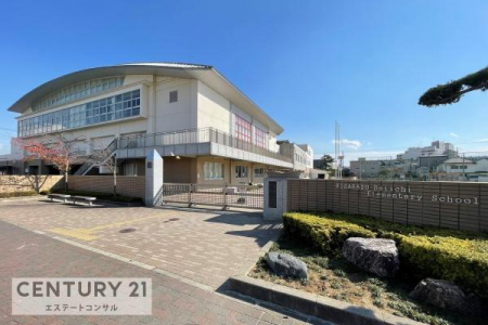 ӊ@؍XÎs؍XÑꏬwZ446m