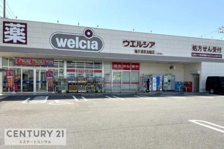 ӊ@EGVAPYޗǗ֓X796m