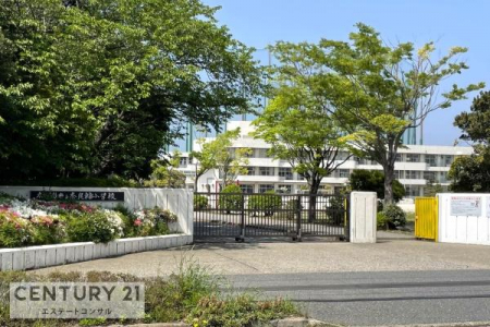 ӊ@PYsޗǗ֏wZ1784m