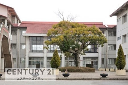 ���ӊ��@���P�Y�s�����g���w�Z1437m