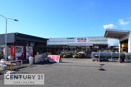 ���ӊ��@�r�o�z�[�����Y�X1993m