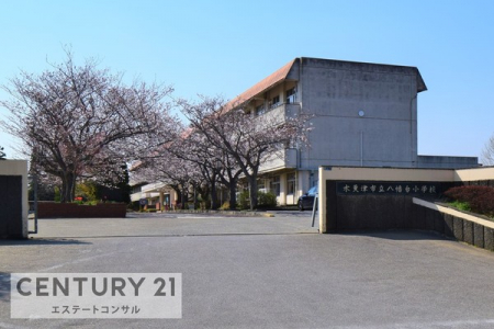 ���ӊ��@�؍X�Îs�������䏬�w�Z1471m