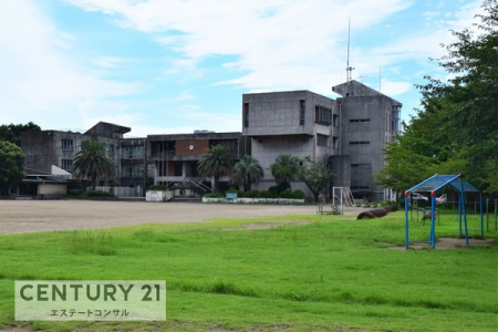 ���ӊ��@�x�Îs���x���w�Z891m