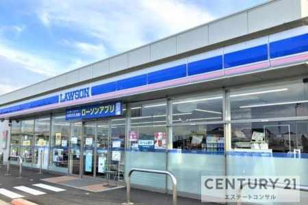 ���ӊ��@���[�\���N�ÌS�X231m