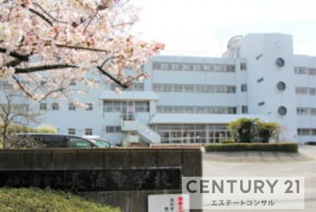 ���ӊ��@���P�Y�s�����Y���w�Z1173m