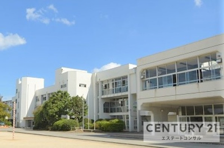 ���ӊ��@���P�Y�s�����Y���w�Z876m