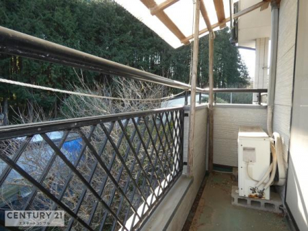 �o���R�j�[�@�z������̗ǂ��쑤�̃o���R�j�[�ł��B