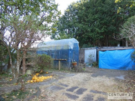 ��@�쑤�̂���A�����Ȃǂ��_�݂��Ă���܂��B