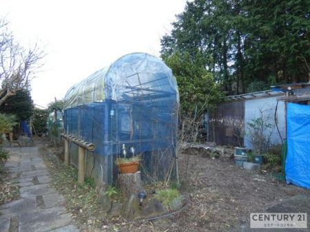 ��@�쑤�̂���A�����Ȃǂ��_�݂��Ă���܂��B