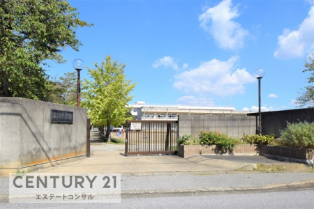 ���ӊ��@�؍X�Îs���_�����w�Z883m