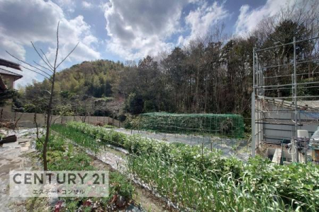 ���̑����n�@-