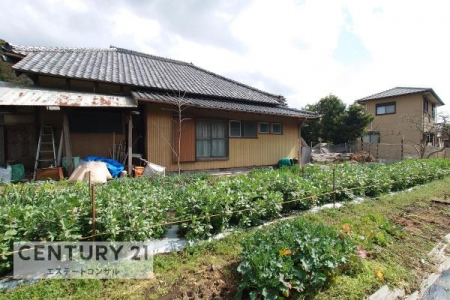 ���̑����n�@-