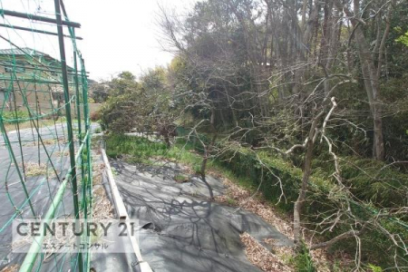 ���̑����n�@-