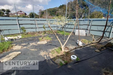 ���̑����n�@-