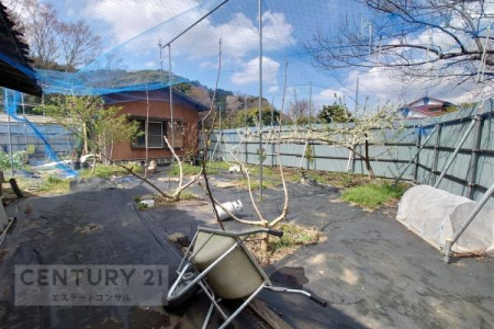 ���̑����n�@-