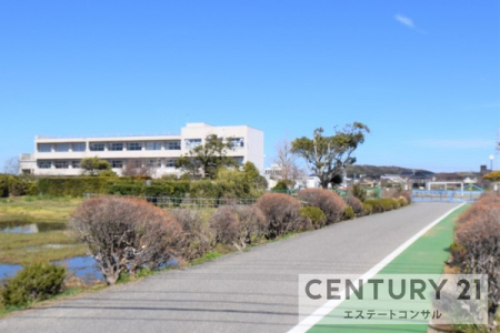 ���ӊ��@-