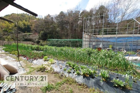 ���̑����n�@-