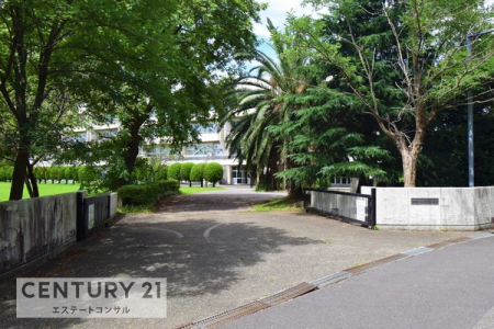 ���ӊ��@�N�Îs���������w�Z591m