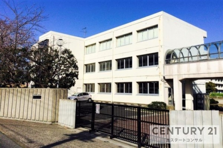 ���ӊ��@-