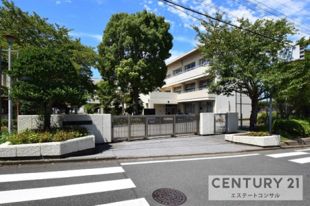 ���ӊ��@-