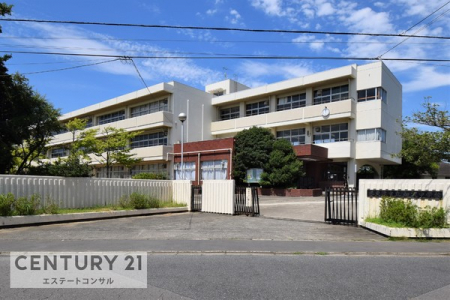 ���ӊ��@-