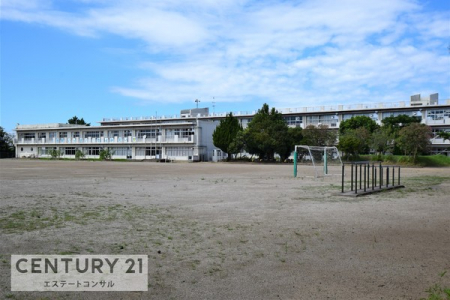 ���ӊ��@-