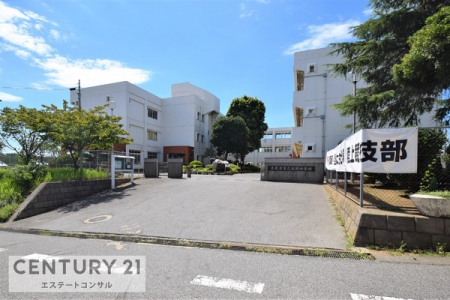 ���ӊ��@-