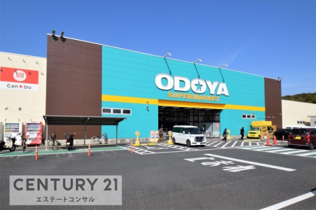 ���ӊ��@ODOYA�x�ÓX1713m