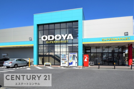 ���ӊ��@ODOYA������X419m